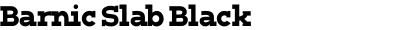 Barnic Slab Black