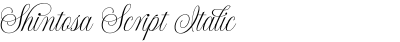 Shintosa Script Italic