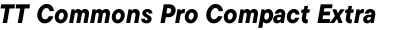 TT Commons Pro Compact Extra Bold Italic