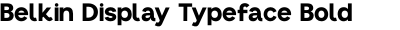 Belkin Display Typeface Bold