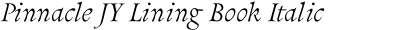 Pinnacle JY Lining Book Italic