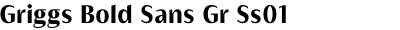 Griggs Bold Sans Gr Ss01