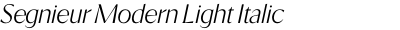 Segnieur Modern Light Italic