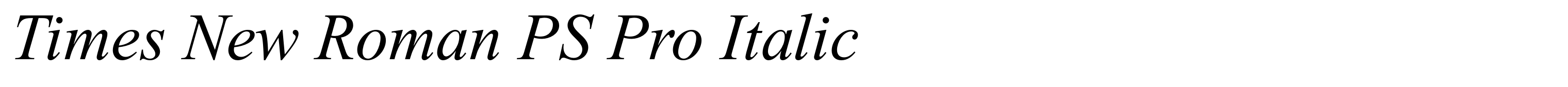 Times New Roman PS Pro Italic