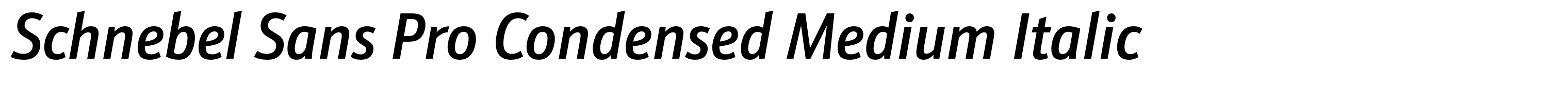 Schnebel Sans Pro Condensed Medium Italic
