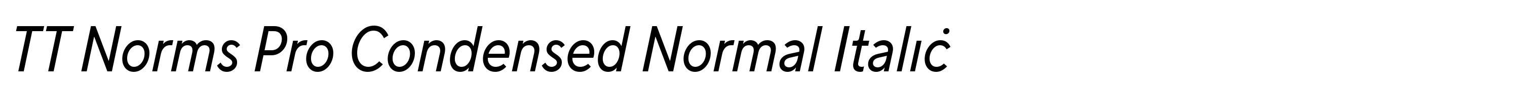 TT Norms Pro Condensed Normal Italic