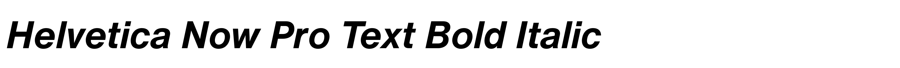 Helvetica Now Pro Text Bold Italic