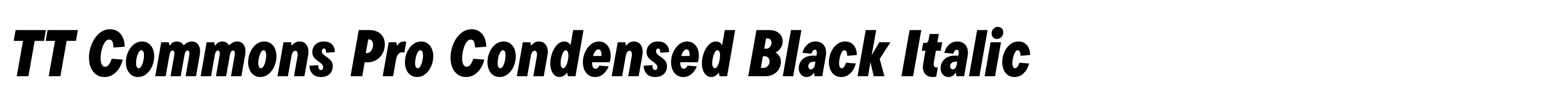 TT Commons Pro Condensed Black Italic