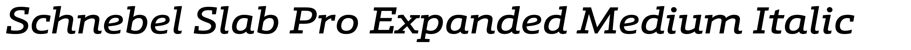Schnebel Slab Pro Expanded Medium Italic
