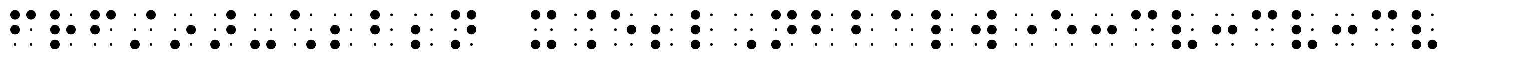 PIXymbols BrailleReader Italic