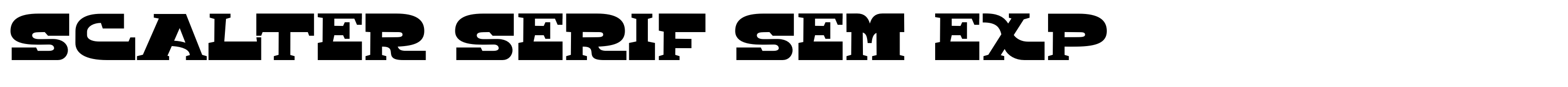 Scalter Serif Sem Exp