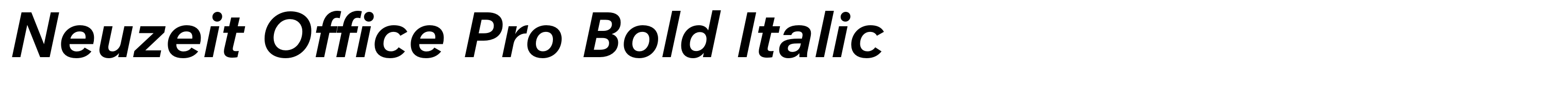 Neuzeit Office Pro Bold Italic