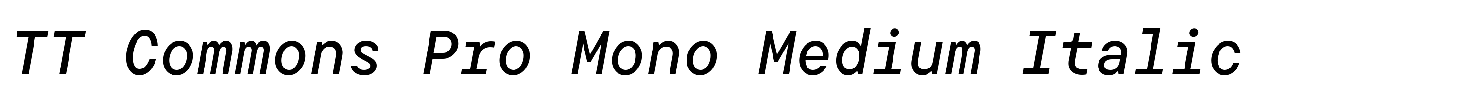 TT Commons Pro Mono Medium Italic