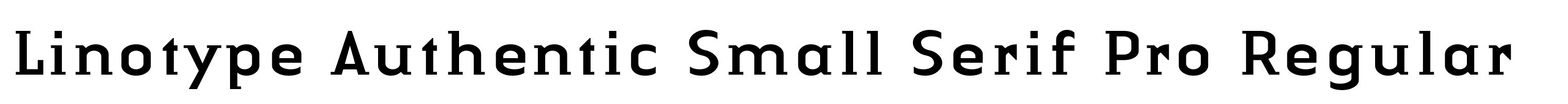 Linotype Authentic Small Serif Pro Regular