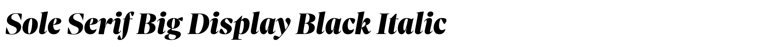 Sole Serif Big Display Black Italic