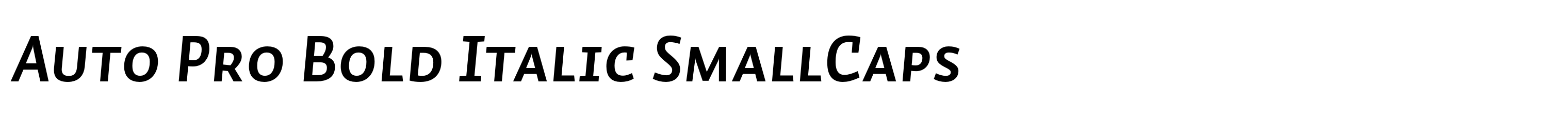 Auto Pro Bold Italic SmallCaps