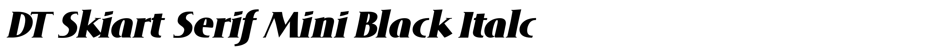 DT Skiart Serif Mini Black Italc