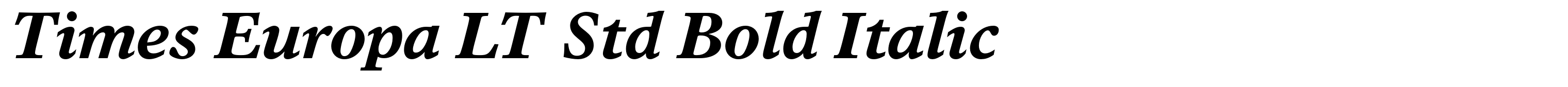 Times Europa LT Std Bold Italic