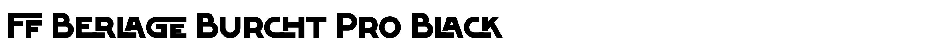 FF Berlage Burcht Pro Black