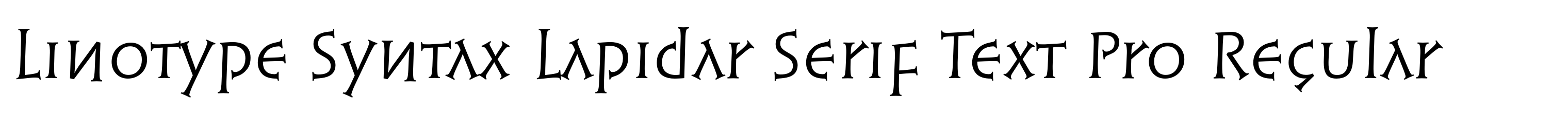 Linotype Syntax Lapidar Serif Text Pro Regular