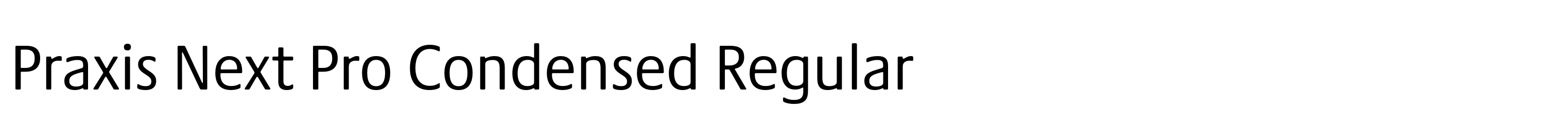 Praxis Next Pro Condensed Regular