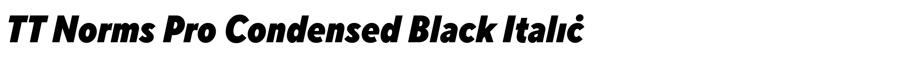 TT Norms Pro Condensed Black Italic