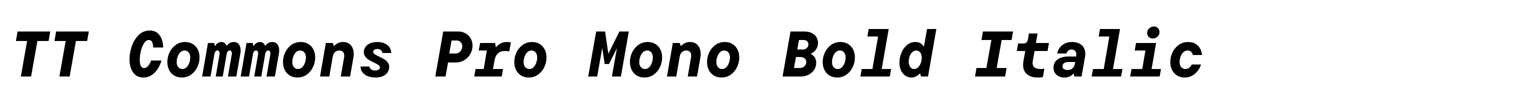 TT Commons Pro Mono Bold Italic