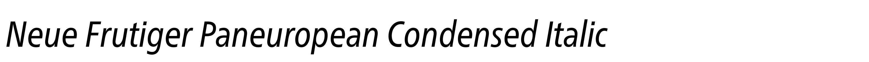 Neue Frutiger Paneuropean Condensed Italic