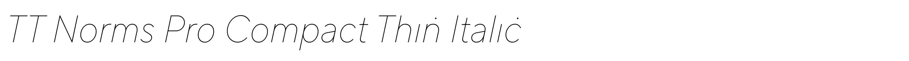 TT Norms Pro Compact Thin Italic