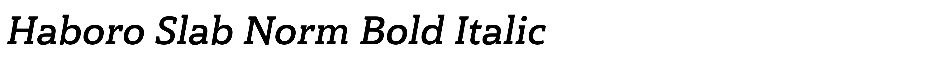Haboro Slab Norm Bold Italic