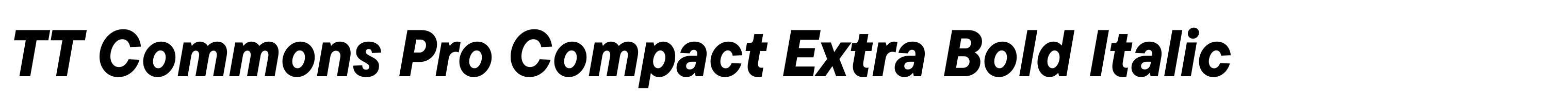 TT Commons Pro Compact Extra Bold Italic