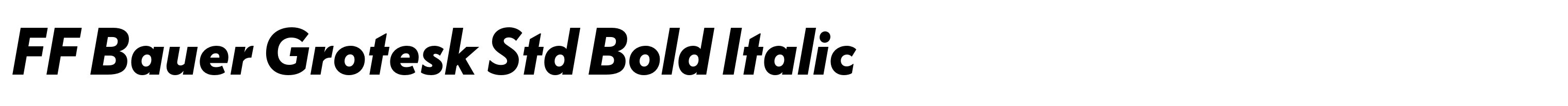 FF Bauer Grotesk Std Bold Italic