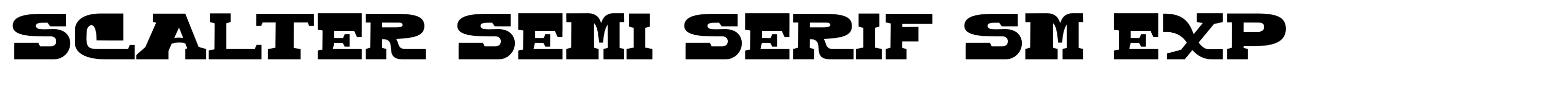 Scalter Semi Serif Sm Exp