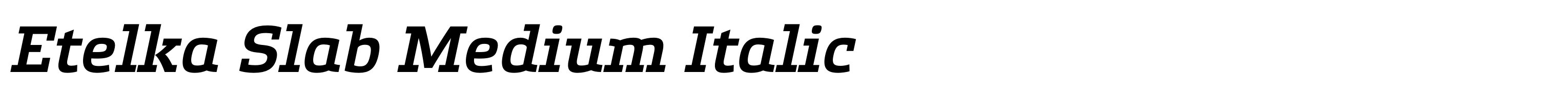Etelka Slab Medium Italic