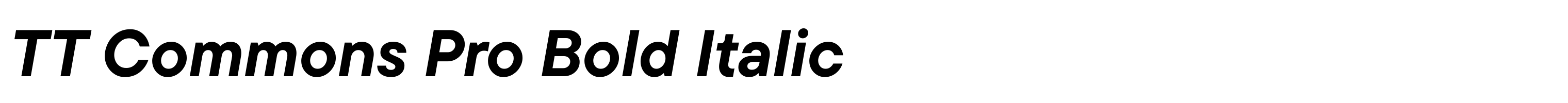 TT Commons Pro Bold Italic