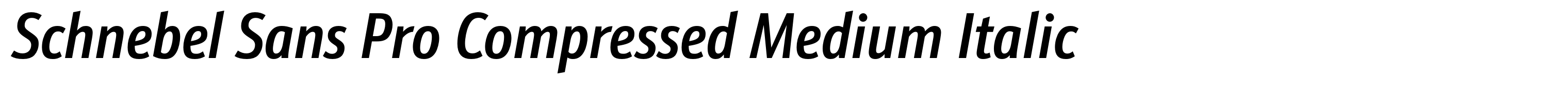 Schnebel Sans Pro Compressed Medium Italic