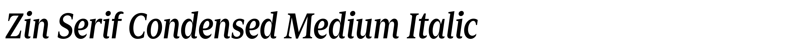 Zin Serif Condensed Medium Italic