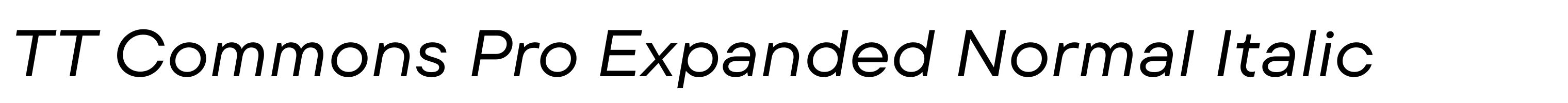 TT Commons Pro Expanded Normal Italic