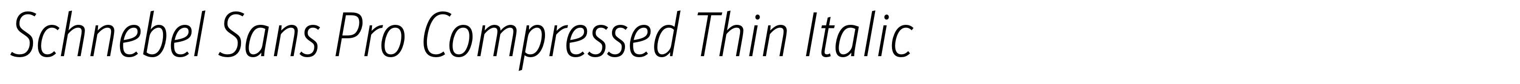 Schnebel Sans Pro Compressed Thin Italic