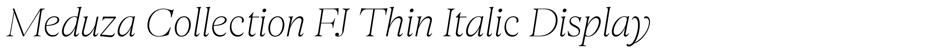 Meduza Collection FJ Thin Italic Display