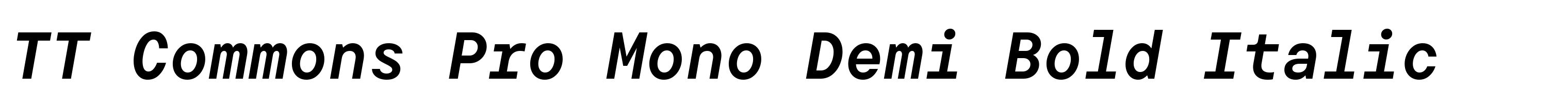 TT Commons Pro Mono Demi Bold Italic