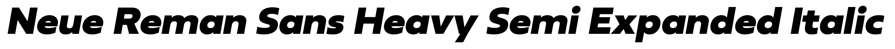 Neue Reman Sans Heavy Semi Expanded Italic