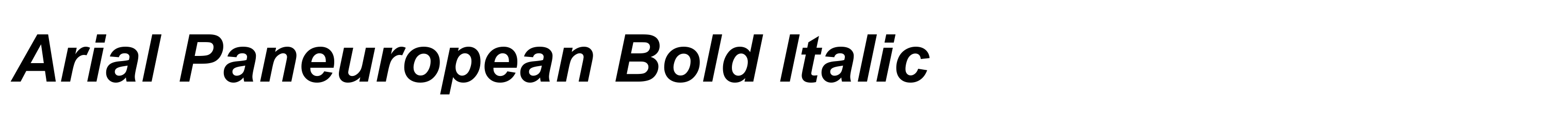 Arial Paneuropean Bold Italic