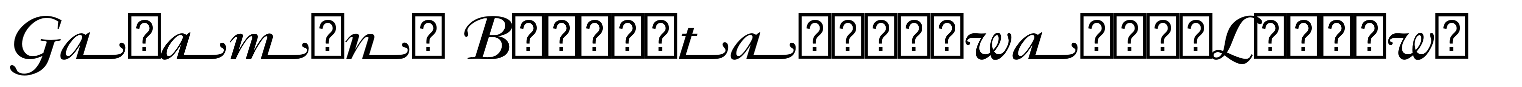 Garamond Bold Italic Swash (Ludlow)