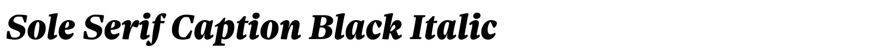 Sole Serif Caption Black Italic