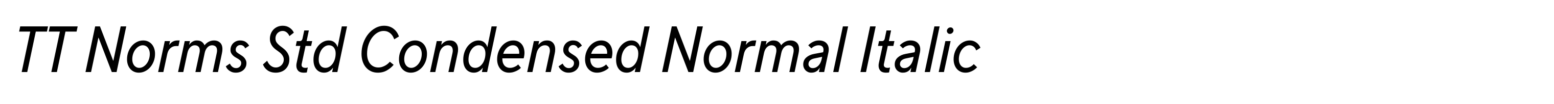 TT Norms Std Condensed Normal Italic