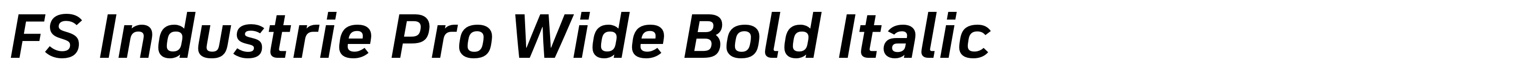 FS Industrie Pro Wide Bold Italic