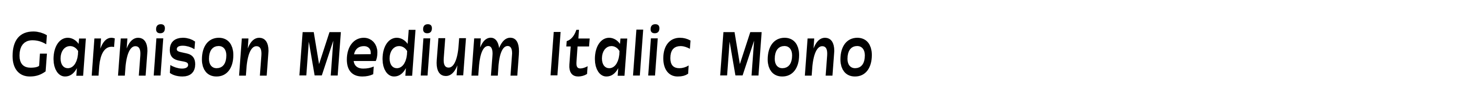Garnison Medium Italic Mono