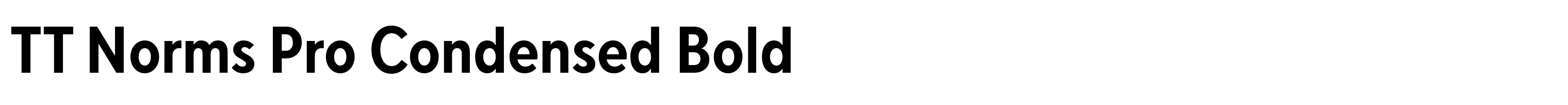 TT Norms Pro Condensed Bold