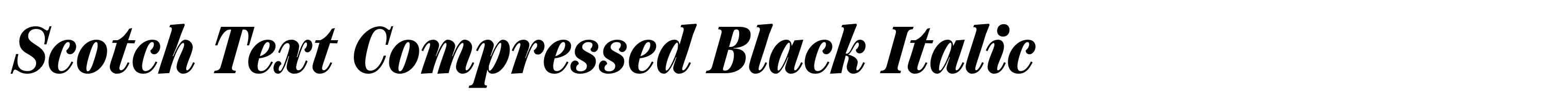 Scotch Text Compressed Black Italic